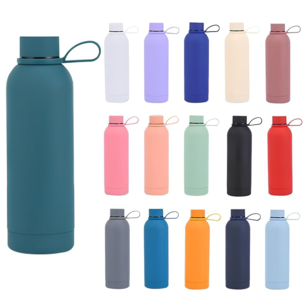 water bottle with handle